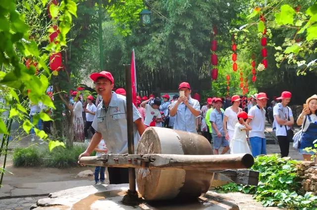 廈門春晚直播，探索自然美景，發(fā)現(xiàn)內(nèi)心的寧靜之旅