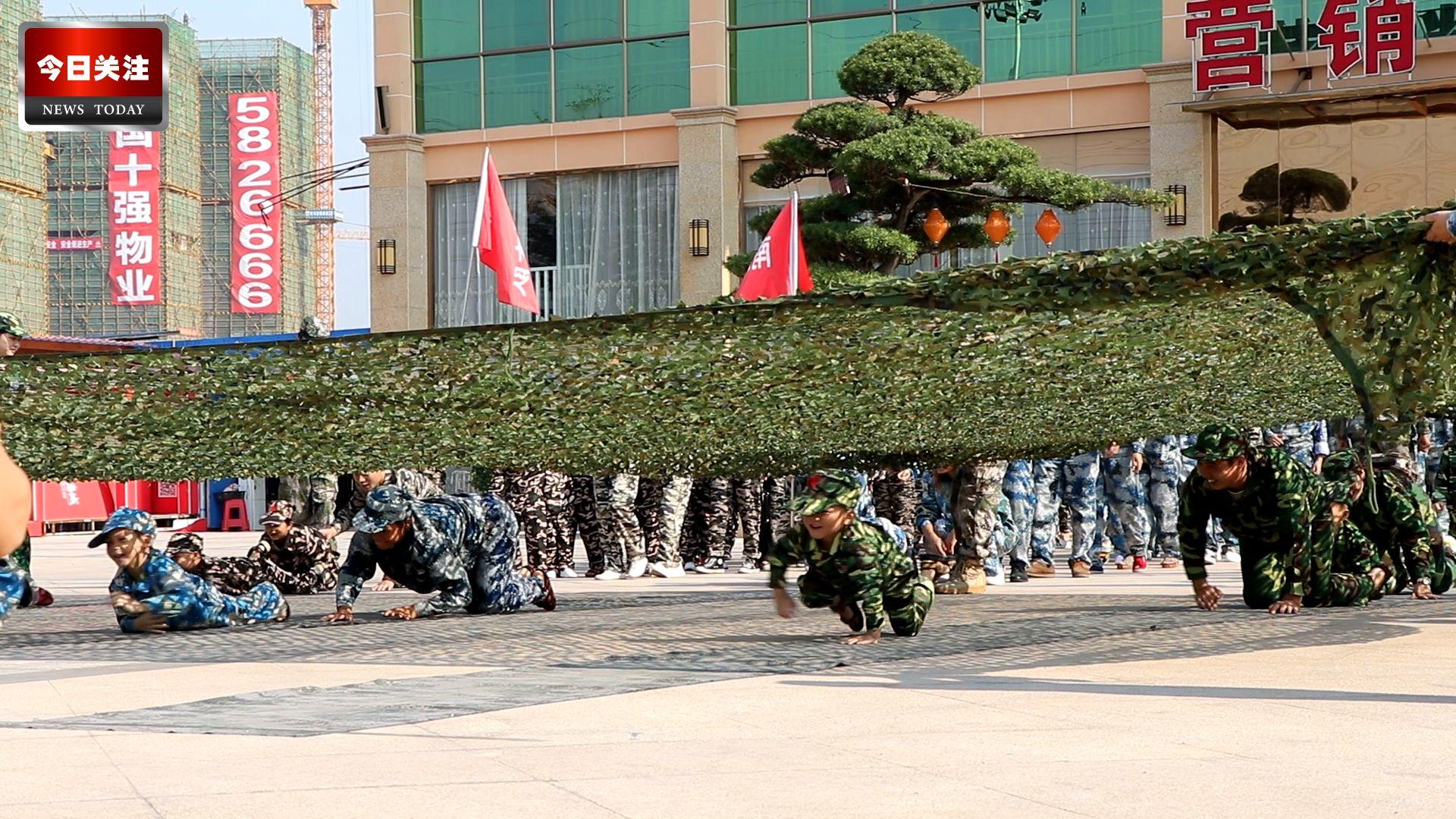 軍事頭條最新消息視頻，小明的軍事日與友情紐帶揭秘