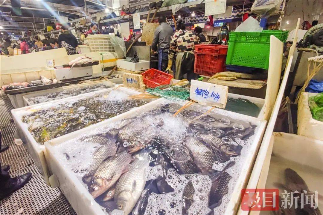 武漢白沙洲最新魚價走勢，市場波動下的深度觀察與反思