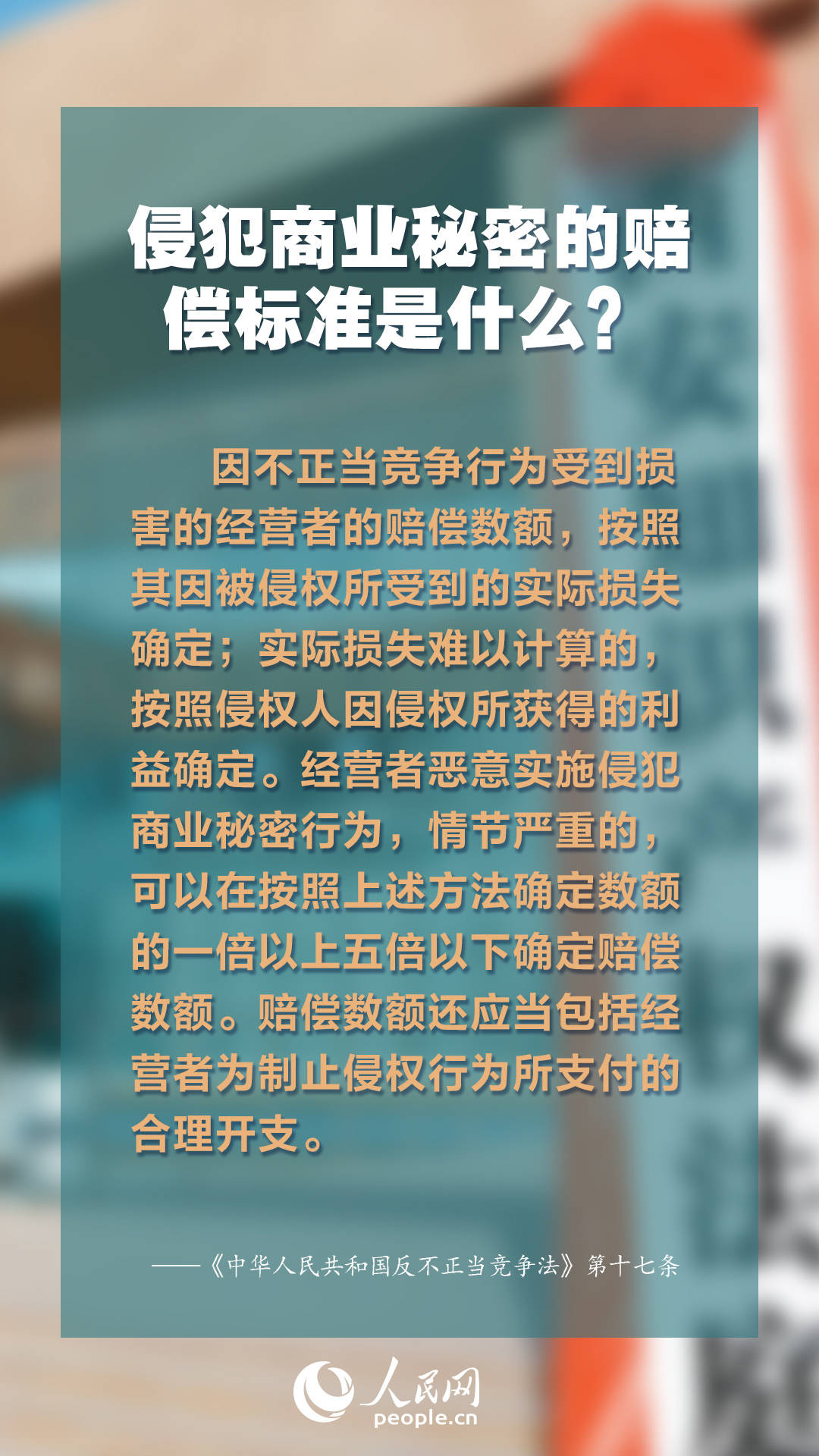 2024新澳門正版免費資料,2024,知識產(chǎn)權(quán)_ZFC82.796親和版