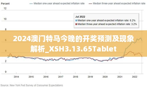 4949澳門特馬,實際調研解析_KAS82.308精致生活版