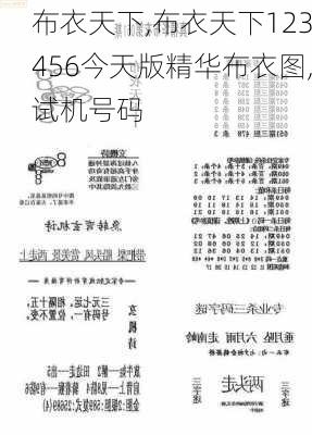 布衣天下123456今天版精華布衣圖,試機號碼,策略規(guī)劃_KKR82.810計算機版