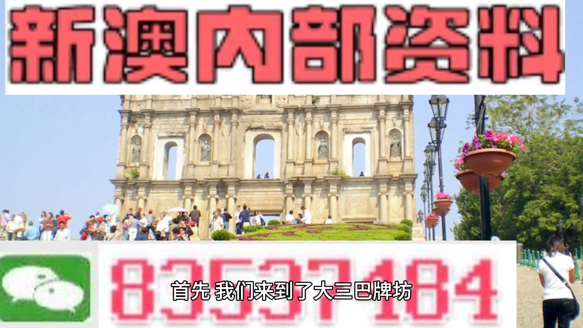 2024新澳門資料雞號幾號,實際調(diào)研解析_WPE82.686編輯版