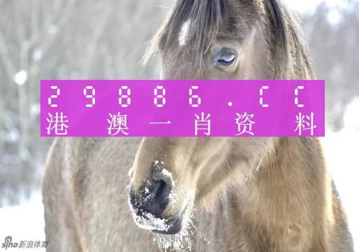 新澳門精準(zhǔn)一肖一碼100%l？,體育中國語言文學(xué)_IYC63.977設(shè)計(jì)師版