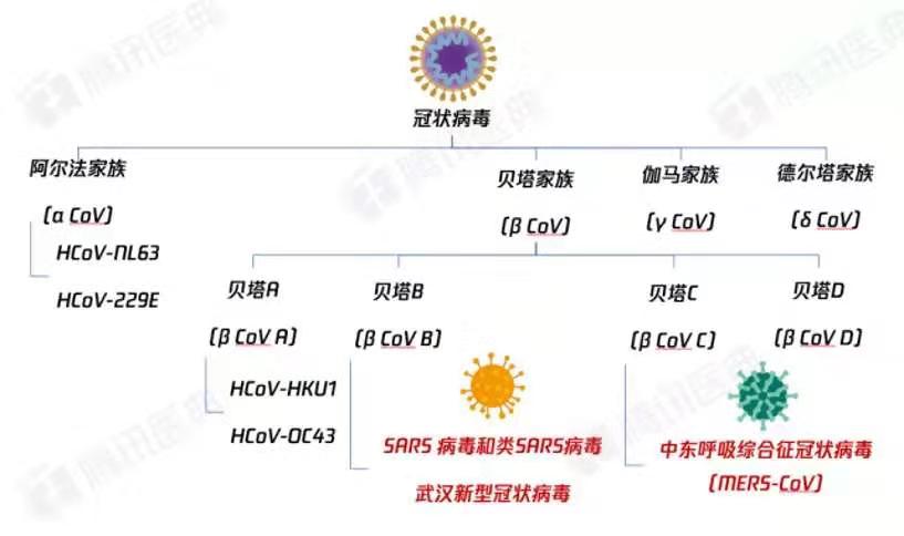 新澳門正版更新資料,全身心數(shù)據(jù)指導(dǎo)枕_OMB63.393優(yōu)選版