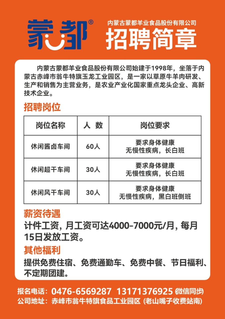 舞陽招聘網(wǎng)最新招聘，城市求職奇遇與友情的交織溫暖