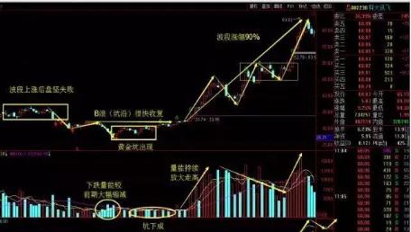 黃金法眼最新章節(jié)揭秘、解析與期待